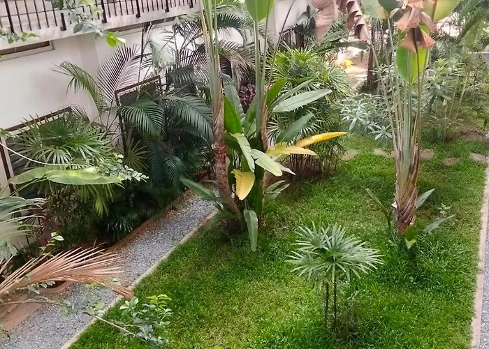Phan Nata